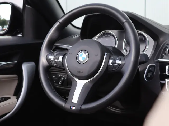 BMW 2 Serie Cabrio 220i High Executive 2021 Benzine 21