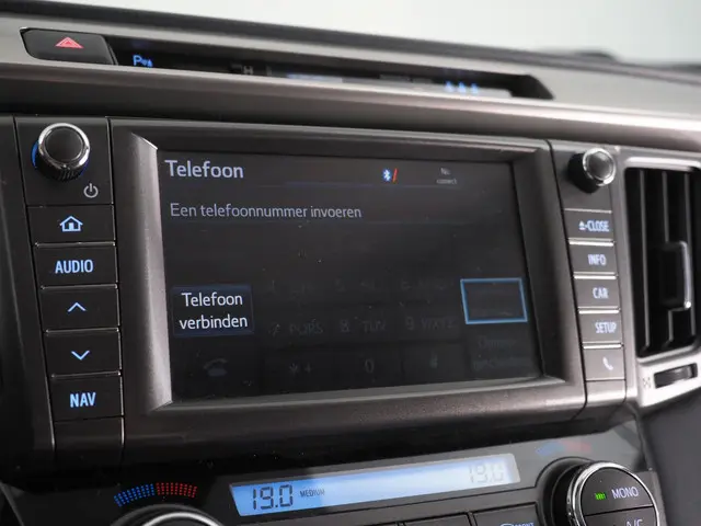 Toyota RAV4 2.0 Executive Business 4WD 2013 Benzine 35