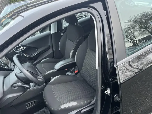 Peugeot 208 1.2 PureTech Blue Lion 2017 Benzine 10