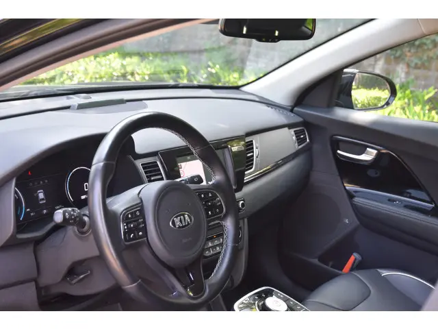 Kia e-Niro ExecutiveLine 64 kWh 2020 Elektrisch 6