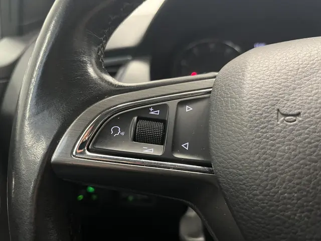 Škoda Fabia Combi 1.2 TSI JOY 2017 Benzine 35