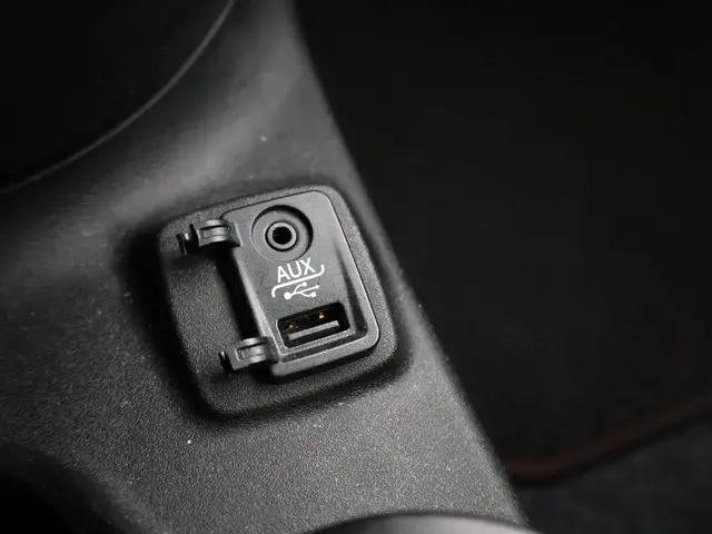 Fiat 500e 24kwh 2015 Elektrisch 45