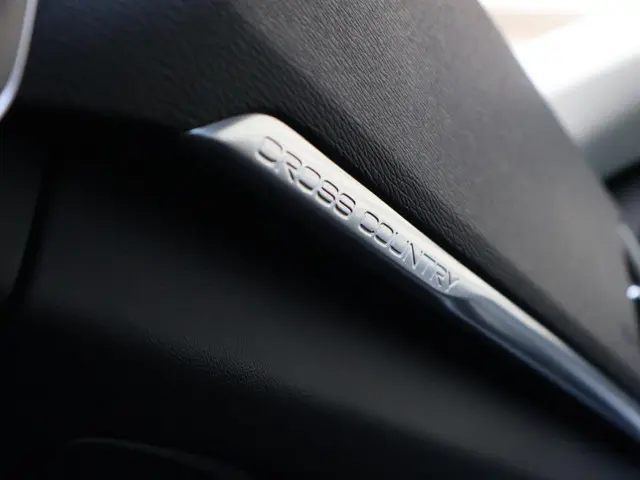 Volvo V40 Cross Country T3 Polar+ Luxury 2019 Benzine 28