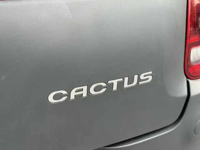 Citroën C4 Cactus 1.2 PureTech Shine 2016 Benzine 27