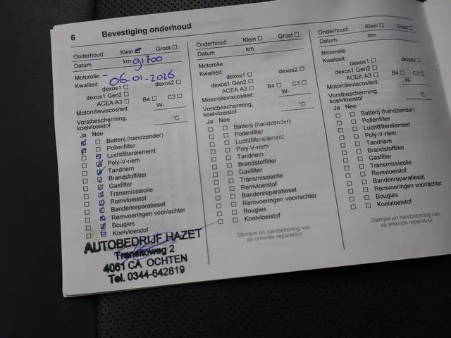 Opel Ampera-e LAUNCH EXECUTIVE 60 KWH 2018 Elektrisch 48