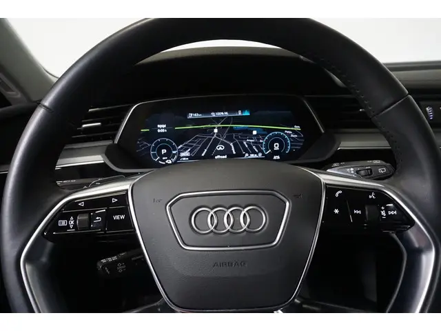 Audi e-tron 55 Quattro Advanced 2019 Elektrisch 14
