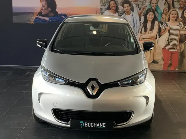 Renault ZOE R110 Limited 41 kWh (ex Accu) 2019 Elektrisch 17