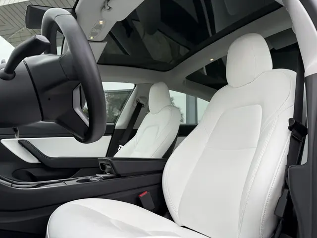 Tesla Model 3 Range Plus RWD 2020 Elektrisch 11