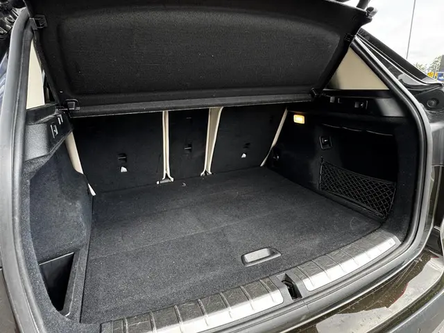 BMW X1 xDrive20i High Executive 2018 Benzine 12