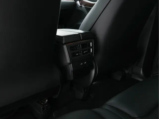 Tesla Model X 100D AWD [ 3-Fase ] 2018 Elektrisch 24