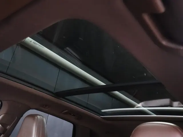 Porsche Cayenne 3.0 E-Hybrid 2022 Hybride Benzine 14