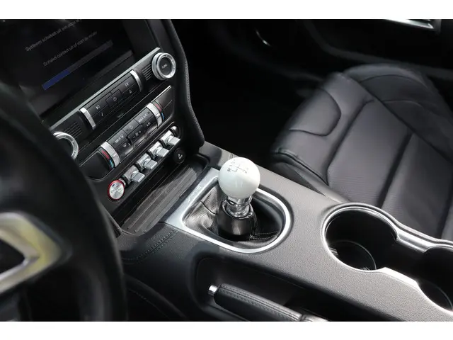 Ford Mustang Fastback Bullitt 2019 Benzine 30