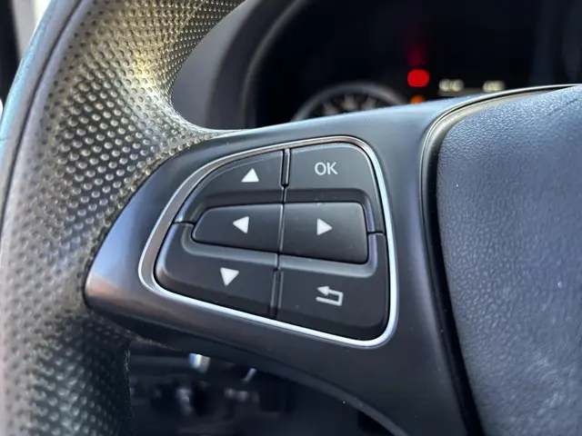 Mercedes-Benz Vito 116 CDI Lang 2019 Diesel 14