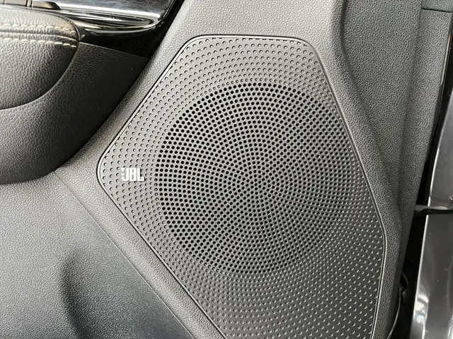 Kia e-Niro ExecutiveLine 64 kWh 2020 Elektrisch 36