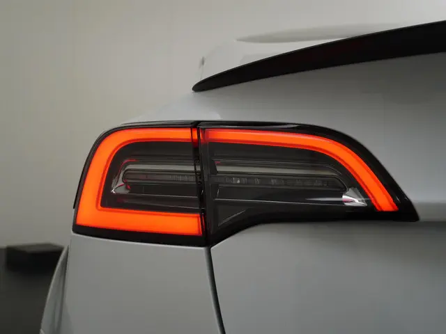 Tesla Model 3 Standard RWD Plus 60 kWh 2021 Elektrisch 9