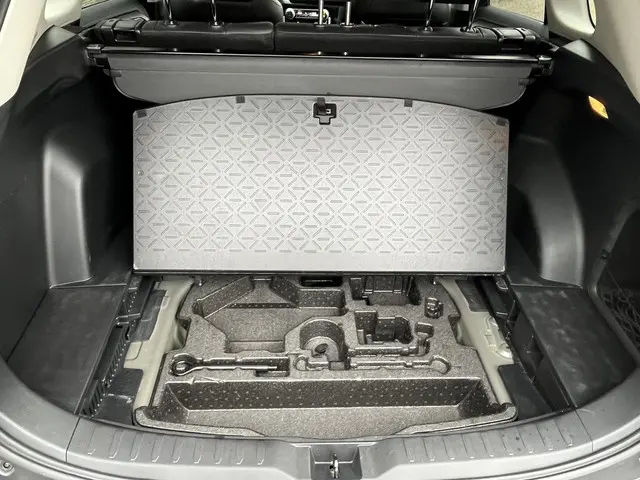 Toyota RAV4 2.5 Hybrid AWD Style 2022 Hybride Benzine 24