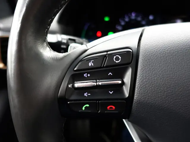 Hyundai IONIQ Premium+ EV Aut- 2019 Elektrisch 16