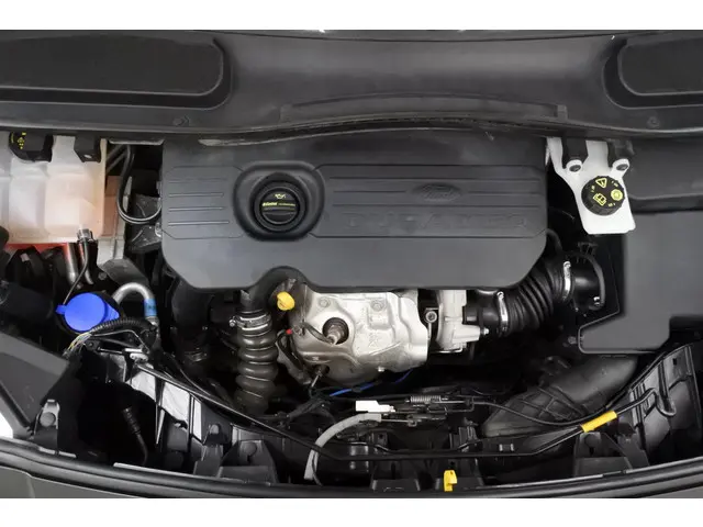 Ford Transit Connect 1.5 TDCi Edition 2018 Diesel 25