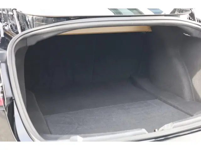 Tesla Model 3 Long Range AWD 75 kWh 2019 Elektrisch 13