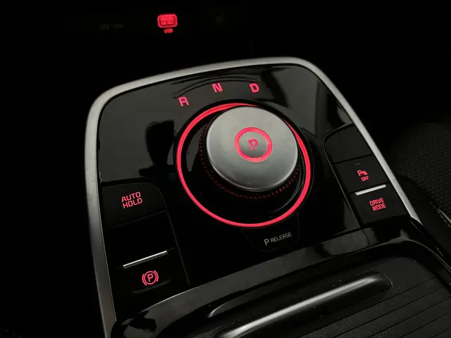Kia e-Niro DynamicLine 64 kWh 2021 Elektrisch 10