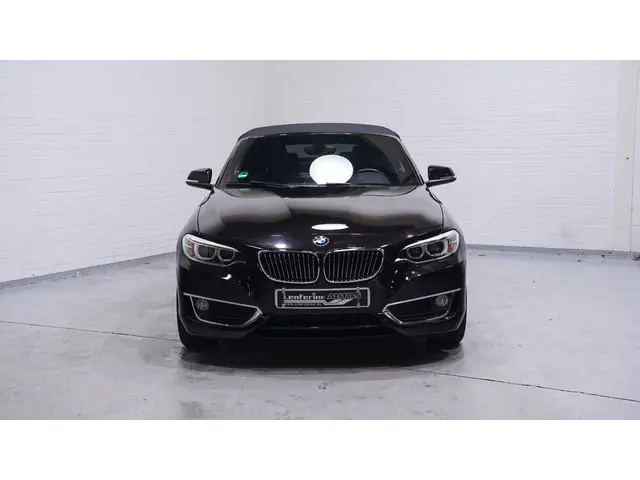 BMW 2 Serie Cabrio 218i Luxury 2016 Benzine 2