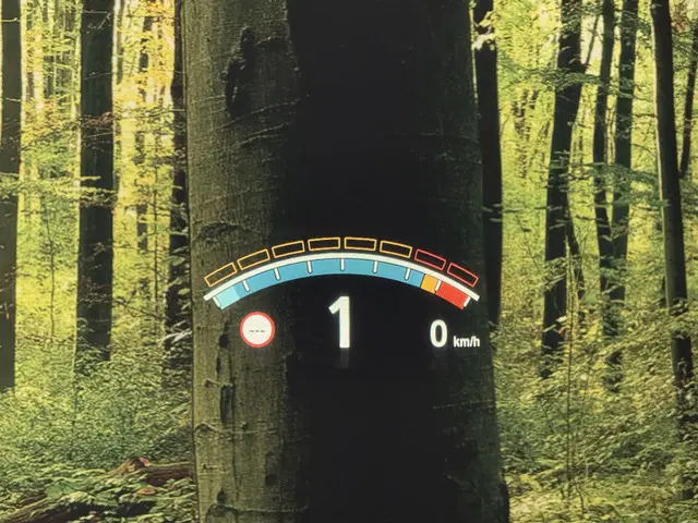 BMW X5 M 2017 Benzine 12