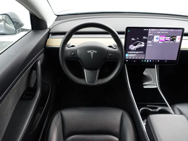 Tesla Model 3 Long Range AWD 75 kWh- 2019 Elektrisch 6