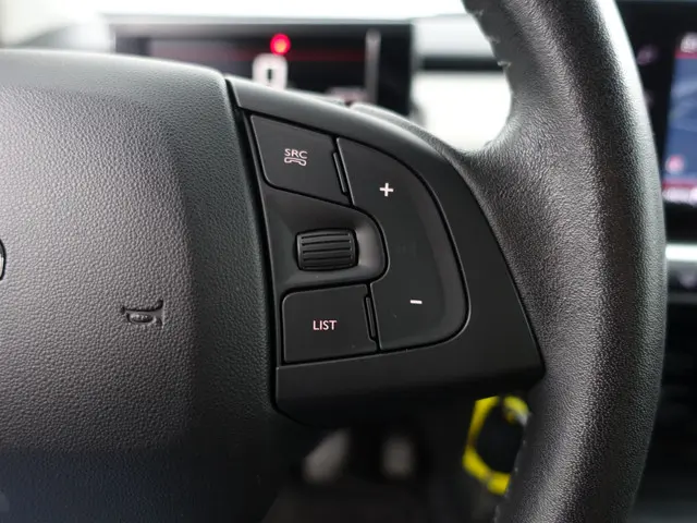 Citroën C4 Cactus 1.2 PureTech Feel 2019 Benzine 16