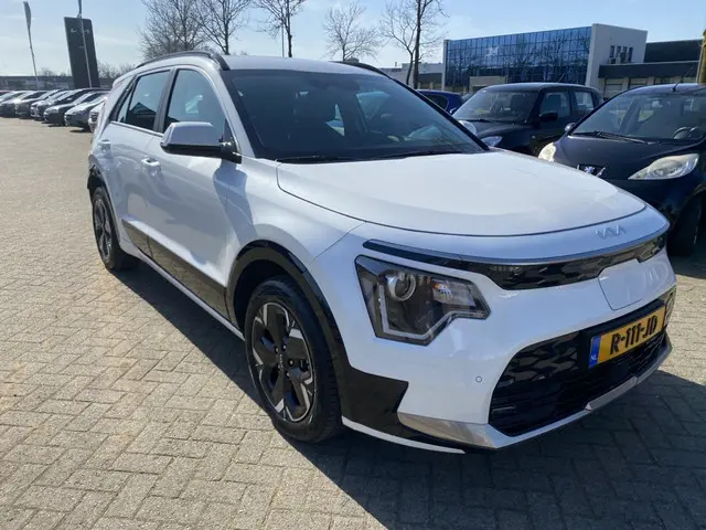Kia Niro EV DynamicLine 64.8 kWh 2022 Elektrisch 10