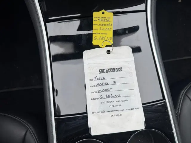 Tesla Model 3 Long Range AWD 75 kWh 2019 Elektrisch 14