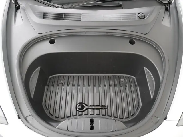 Tesla Model 3 Standard RWD Plus 60 kWh 2021 Elektrisch 15