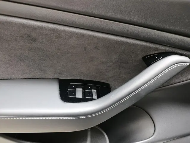 Tesla Model 3 Performance AWD 75 kWh 2020 Elektrisch 24
