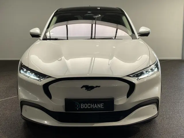 Ford Mustang Mach-E RWD 75 kWh 2021 Elektrisch 15