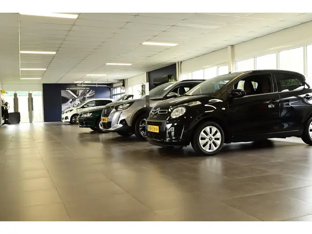 Peugeot Partner Tepee 1.2 PureTech Active 2017 Benzine 41