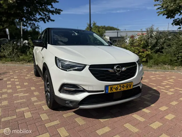 Opel Grandland X 1.2 Turbo Ultimate / Bomvol 2018 Benzine 15