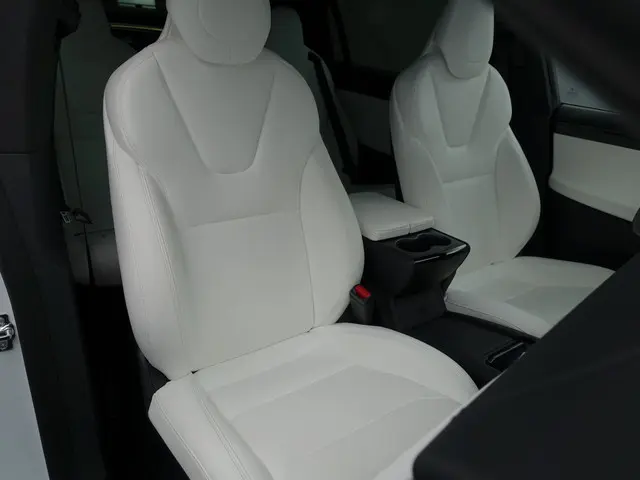 Tesla Model X Long Range Black Pack- 2019 Elektrisch 25