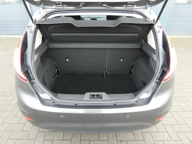 Ford Fiesta HELAAS VERKOCHT!!! 2015 Benzine 12