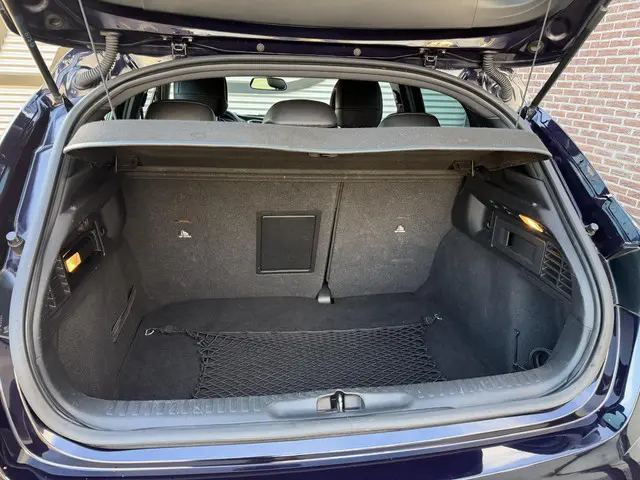 DS DS 4 1.2 PureTech 1955 2015 Benzine 17