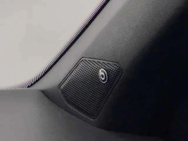 Volkswagen T-Roc 1.5 TSI R-Line Business+ 2022 Benzine 15