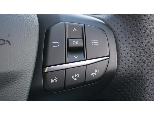 Ford Kuga 1.5 EcoBoost ST-Line X 2022 Benzine 45
