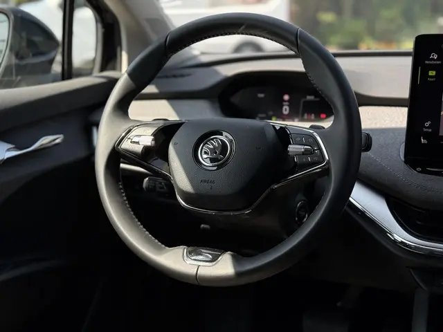 Škoda Enyaq iV 80 2021 Elektrisch 18