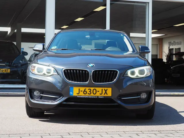 BMW 2 Serie Coupé 220i High Executive 2014 Benzine 10