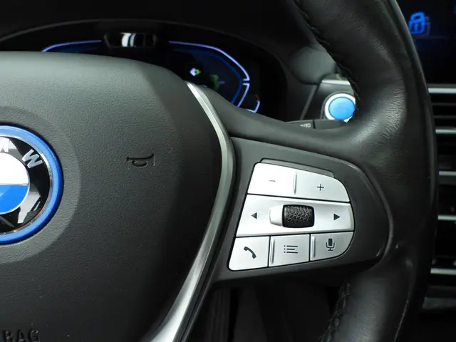 BMW iX3 High Executive 80 kWh 2021 Elektrisch 15