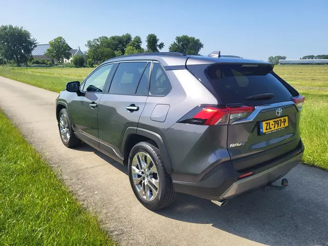 Toyota RAV4 2.0 VVT-iE Executive 2019 Benzine 43