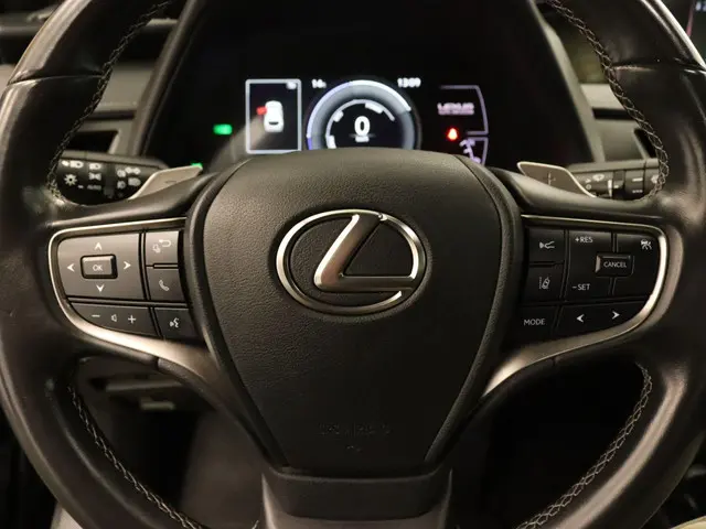 Lexus UX 300e Business 54 kWh 2020 Elektrisch 23