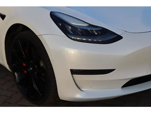 Tesla Model 3 Performance AWD 75 kWh 2019 Elektrisch 12