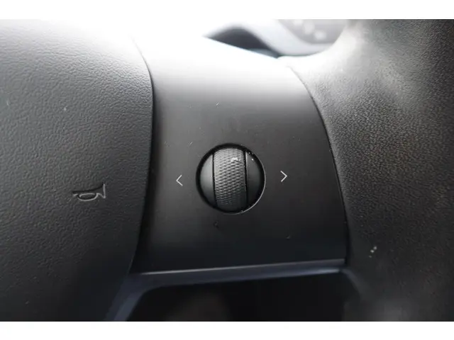 Tesla Model 3 Long Range AWD 75 kWh 2019 Elektrisch 26