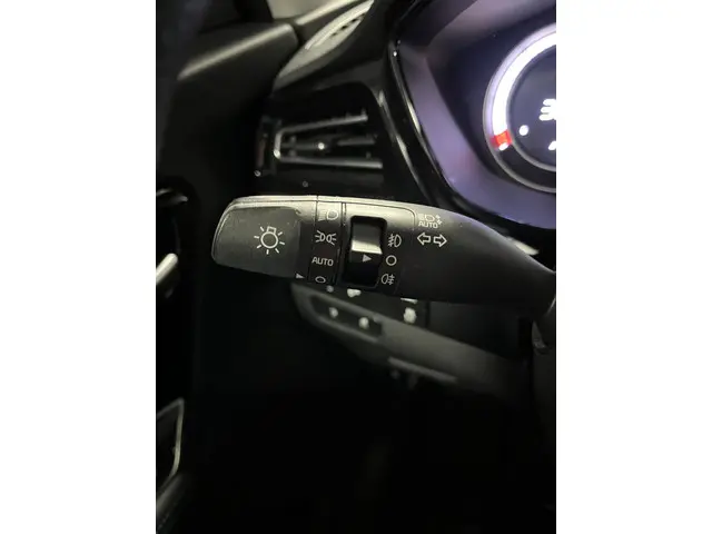 Kia e-Niro ExecutiveLine 64 kWh 2021 Elektrisch 26