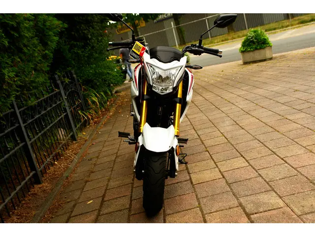 Honda Monkey GROME | 125 A1 A2 2021 Benzine 25