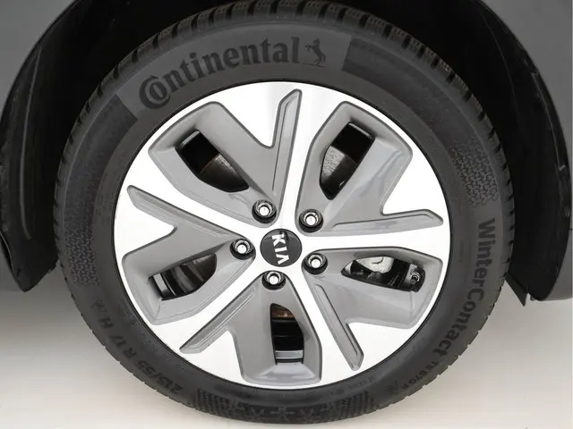 Kia e-Niro ExecutiveLine 64 kWh 2020 Elektrisch 30